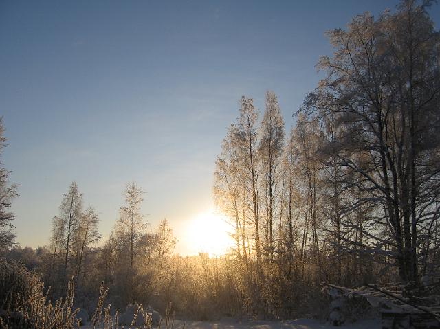 2010_talvikuvia 026.jpg
